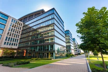 A Guide to Commercial Lawn Care for Guilford Business Owners