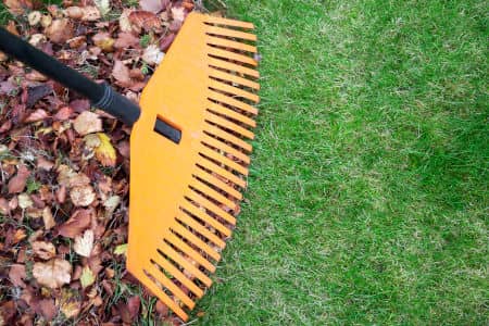 Fall Yard Clean-Ups: Why They Matter More Than You Think Thumbnail