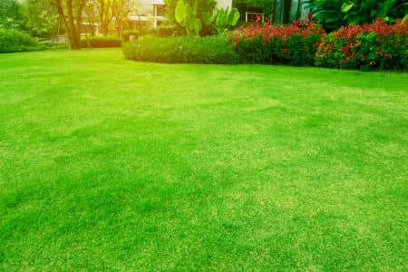 Top Benefits of Routine Lawn Mowing for Healthy, Beautiful Grass