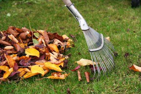 Fall Yard Prep for Guilford Homes: The Checklist Your Lawn Will Thank You For